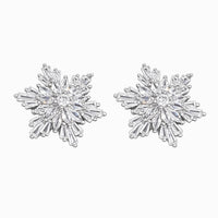 Aurora Snowflake